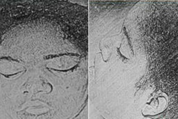 Identifican a la persona a la que pertencía la cabeza encontrada en el McKinley Park