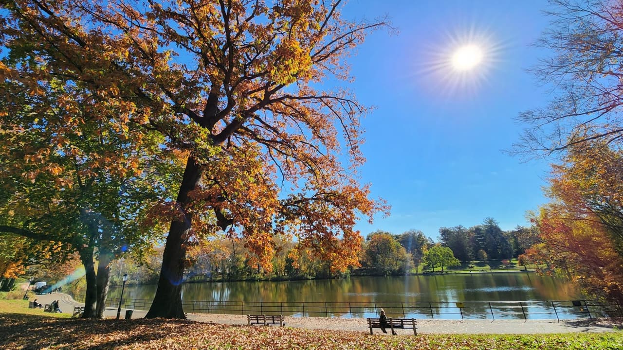 El Kissena Park, en Queens, que cuenta con un hermoso lago, está flanqueado por sauces llorones y árboles con sombra. El espacio 
<b>crea un entorno idílico para disfrutar de un día soleado</b>.