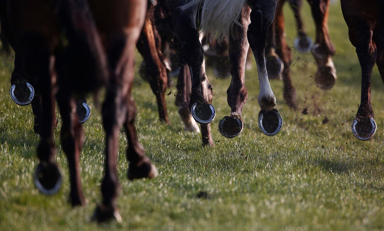 Empresario mexicano sentenciado a 20 años en Texas por lavado de dinero