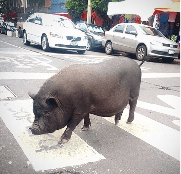 Ángel también ha asegurado que viajar al lado de La Chata ha sido una experiencia súper divertida.