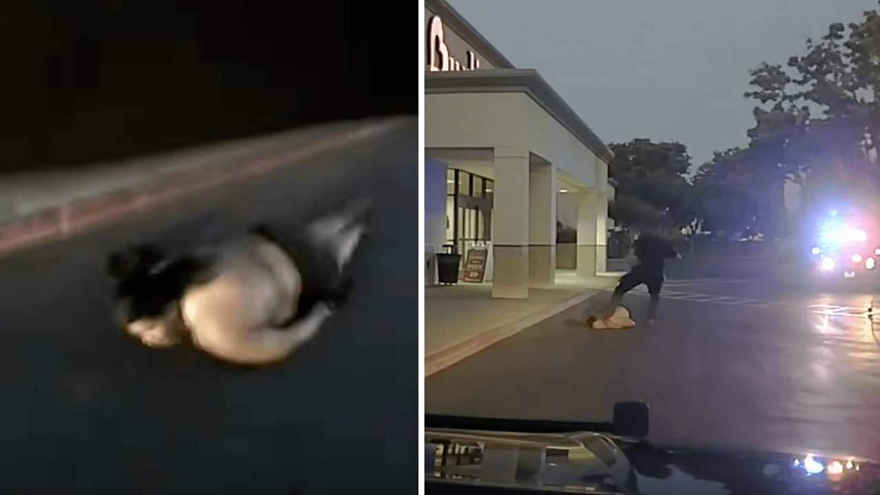 Expolicía de Elk Grove es condenado por patear en la cabeza a un sospechoso de robo; podría ser sentenciado a prisión