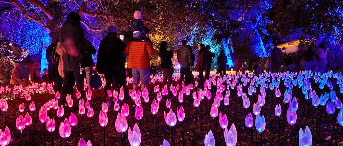 <b>Descanso Gardens</b>:
<br>Aquí tiene lugar la actividad interactiva llamada '
<i>Encantado: Bosque de Luz'</i>, en el cual se exhiben actividades de iluminación en las que el público puede participar.
<br>En estas festividades el show de 'Encantado: Bosque de luz' es de 5:30 a 10:00 p.m.
<br>
<b>Cuándo:</b> De 9:00 a.m. a 5:00 p.m. todos los días.
<br>
<b>Dónde:</b> 1418 Descanso Drive, La Cañada Flintridge, CA 91011.
<br>
<b>Precio:</b> Entrada general, $15; adultos mayores y estudiantes con identificación, $11. Niños de 5 a 12, $5. Miembros y niños menores de 5, gratis.
<br>