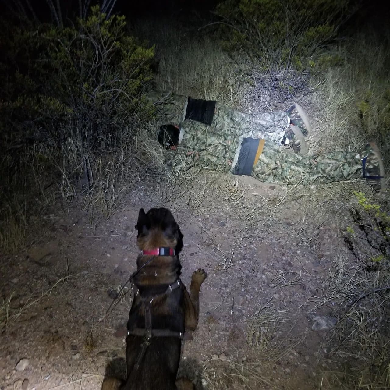 La primera pareja fue detenida de inmediato. Luego de una intensa búsqueda, la segunda pareja fue localizada por un agente y su perro entrenado K9, a varias millas de distancia.