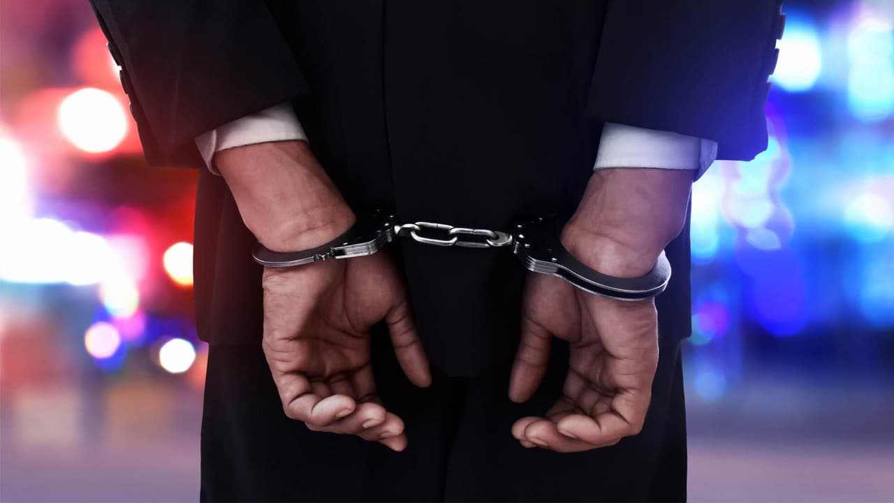 Decano universitario entre detenidos en operativo contra abusadores sexuales infantiles