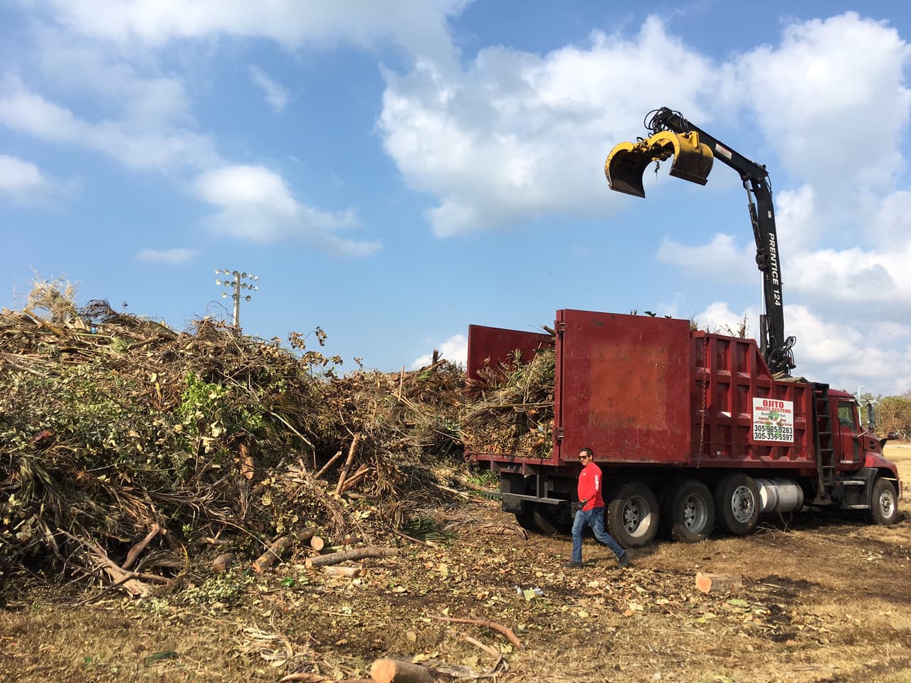 Los desechos de Irma son descargados en un sitio de recolección en Crandon Park, cerca de Miami, para convertirse en mantillo (mulch). Foto: David Adams