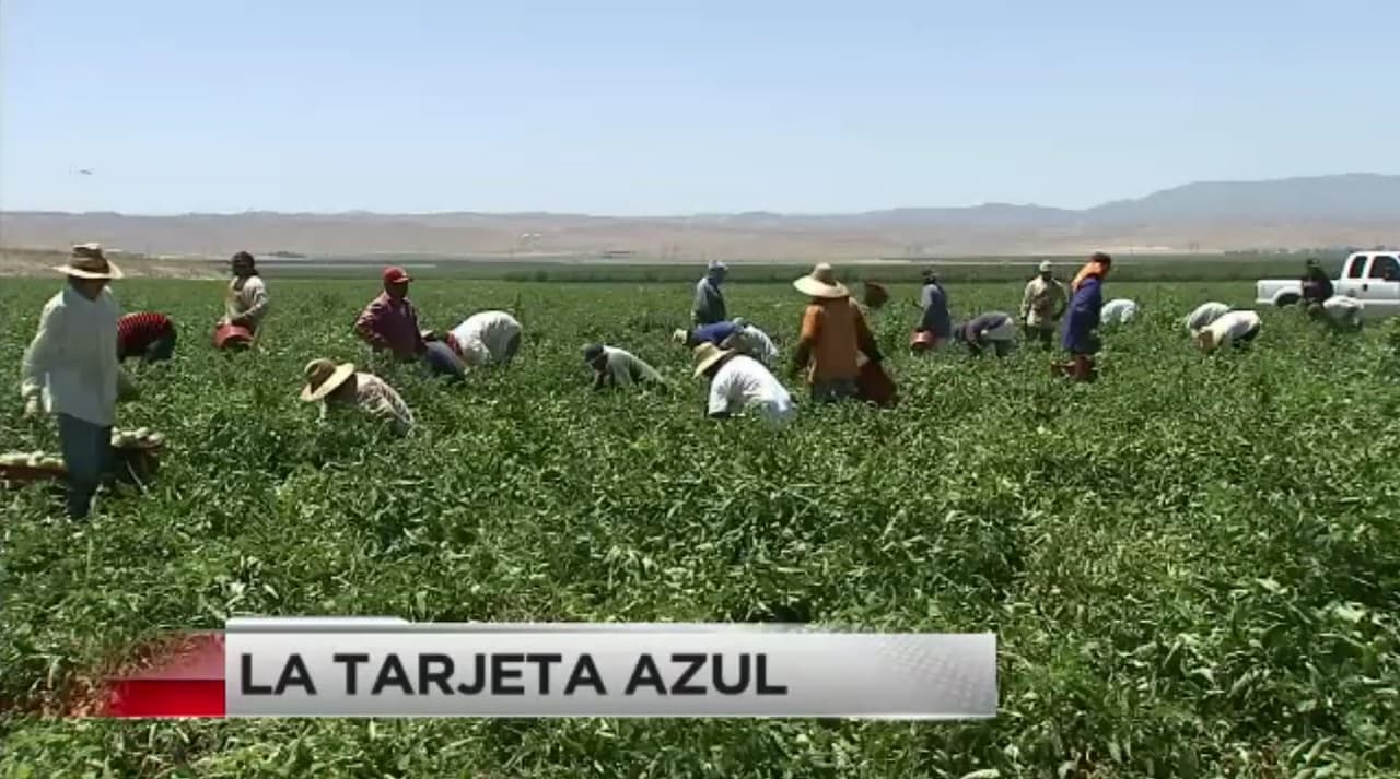 Tarjeta Azul
