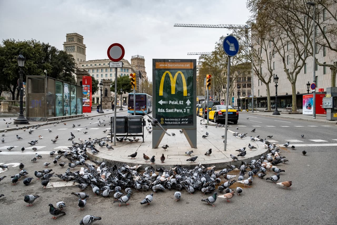 En Barcelona, España, estas palomas se mantienen en las vías que en otro momento estarían colmadas de autos.