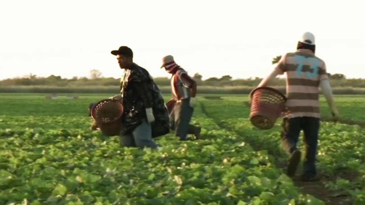 ¿Para qué sirve la visa H-2A y a qué personas beneficia este permiso?