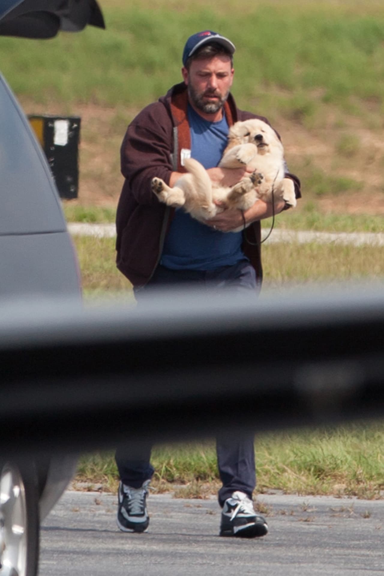 El perrito parecía de lo más cómodo en los brazos del actor.
