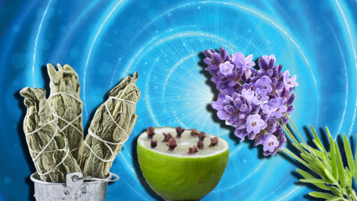 Ahora que mucha gente pasa más tiempo sin salir a la calle, seguramente hay mucha ansiedad o paranoia sobre cuán limpio realmente está nuestro hogar.