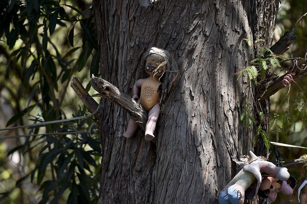 Inclusive hay una muñeca en particular que supuestamente era la favorita del señor y la niña ahogada, a la cual le pusieron la "Agustinita", por haber sido hallada un 28 de agosto, día de San Agustín. A ella le piden "favores especiales".