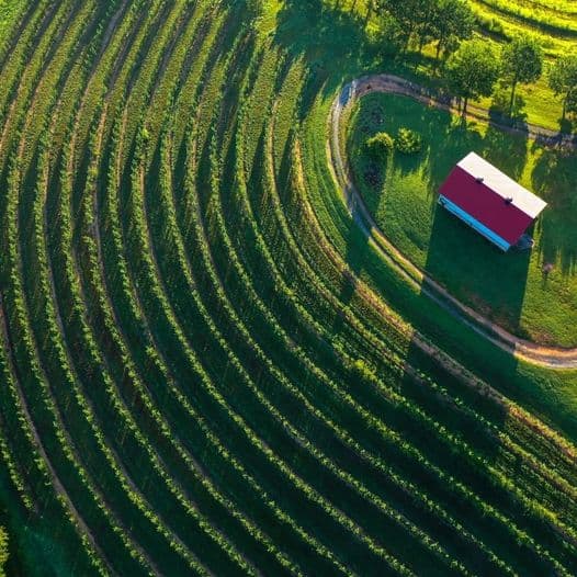 Mercier Orchards es un punto obligatorio a visitar en Blue Ridge, ya que cultiva más de 50 variedades de manzanas.