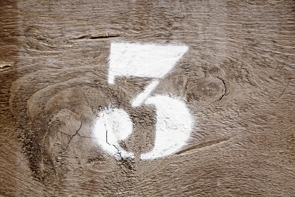 Tu número zodiacal es el 3, debido a que eres Piscis (12=3), en este año 2019 tus mejores meses son los que sumen tres, por tanto, el mes de noviembre (9+3=12=3).