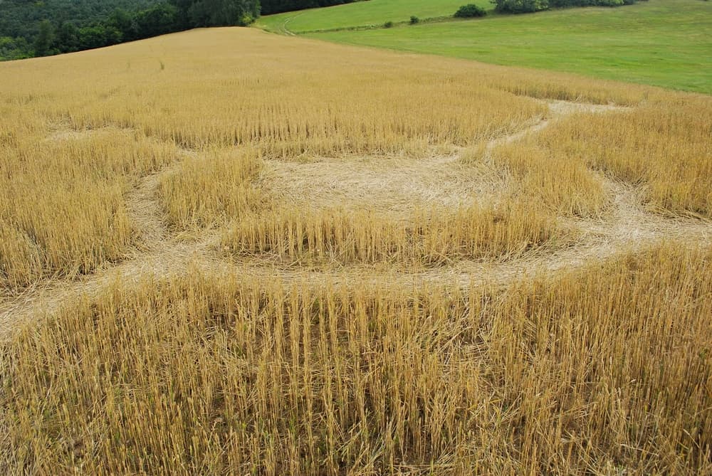 Pero la relación que existe entre quienes hacen estos diseños de cultivos y aquellos que interpretan su trabajo es una simbiosis extraña entre el arte y el folclor, entre el engaño y la creencia en lo sobrenatural.