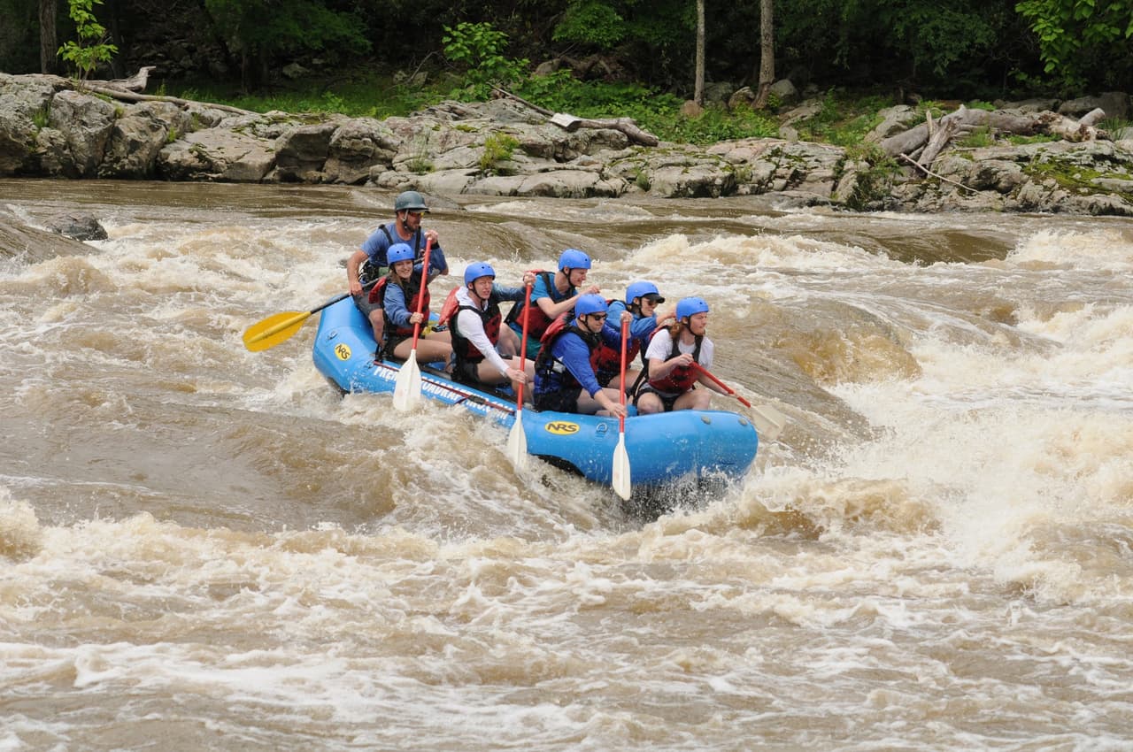 <b><a href="https://www.frenchbroadrafting.com/adventures/rafting">French Broad Adventures</a></b>. Experimenta la emocionante aventura del rafting en rápidos o de un flotador tranquilo inmerso en la belleza natural de las Montañas Blue Ridge y el Bosque Nacional Pisgah.
<br>
<br>
<b><a href="https://goo.gl/maps/jCUKykL6kyU5Y1NJ8">Cómo llegar.</a></b>