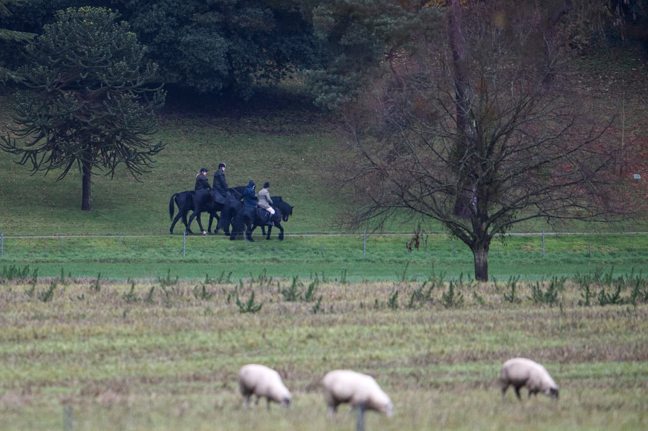 La reunión entre el príncipe Andrew y la reina Isabel II se produjo este viernes 22 de noviembre durante un paseo a caballo en el castillo de Windsor, a dos días de su renuncia.