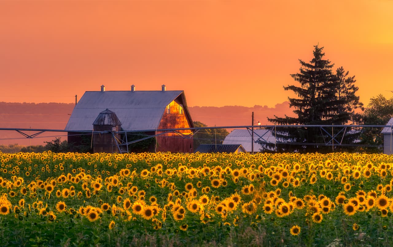 <h3 class="cms-H3-H3">14. Wisconsin</h3>
<br>
<br>🌡️ 
<b>Cambio en la temperatura promedio de 1895 a 2021: </b>+10.7%
<br>
<br>🌡️ 
<b>Temperatura promedio 2021:</b> 45.7º F (7.6º C).
<br>
<br>🌡️ 
<b>Temperatura promedio 1895: </b>41.3º F (5.1º C).
<br>