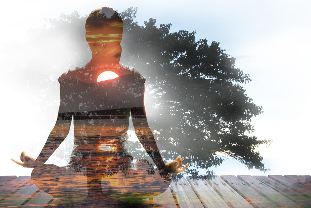 El yin representa la polaridad negativa o sea la recepción, la quietud, la energía femenina, la Luna, la noche, la frialdad, la humedad, la lentitud, la pasividad, receptividad, formas redondas y lisas, la intuición y la tierra.