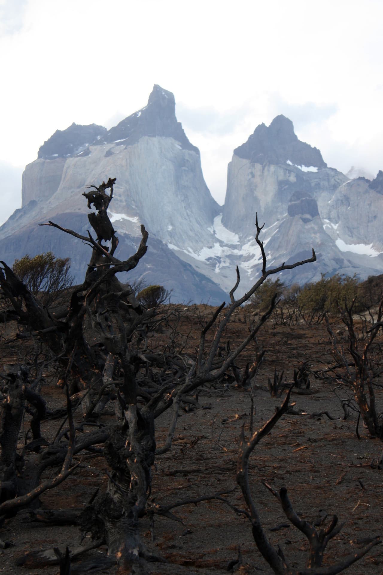 Flora y fauna. El lugar es conocido mundialmente por los macizos que le dan su nombre, gigantes de granito modelados por la fuerza del hielo glacial. Este parque nacional se destaca por la protección de especies animales como el ñandú, el blanquillo y la lechuza.