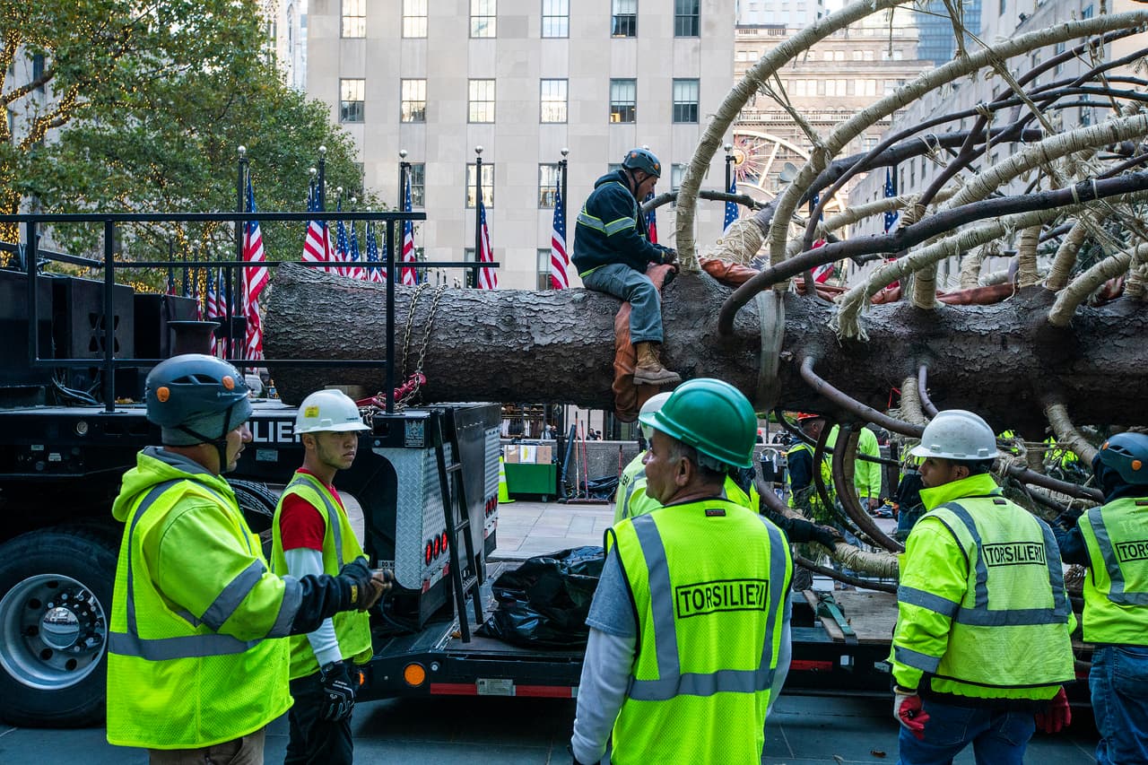 Hacen falta decenas de trabajadores para levantar el árbol cuyo peso de es de 12 toneladas.