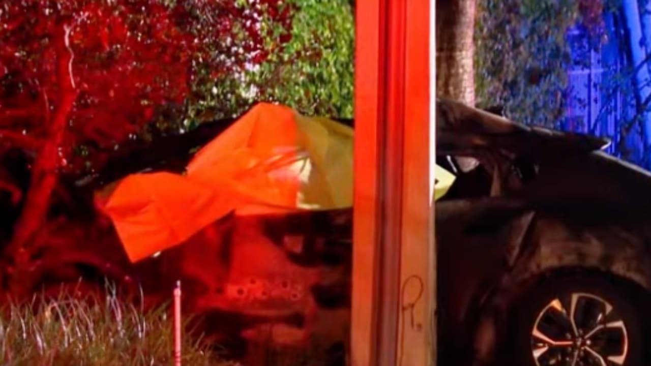 Una pareja de adolescentes murió en Doral tras choque de un Tesla contra un poste