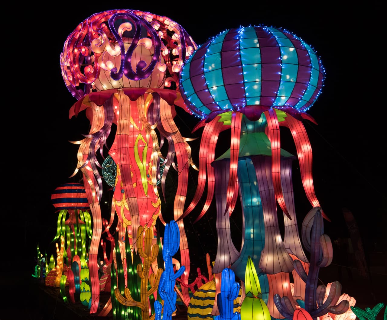 Antes de que la exposición siga con su recorrido en Estados Unidos.