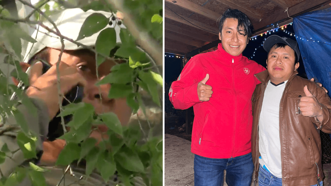 El hermano del inmigrante que subió a árbol para evitar arresto también fue detenido por ICE