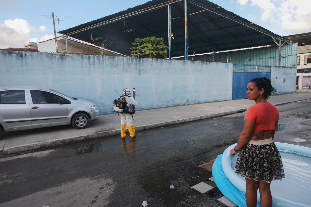 Las autoridades aconsejan eliminar posibles criaderos de mosquitos