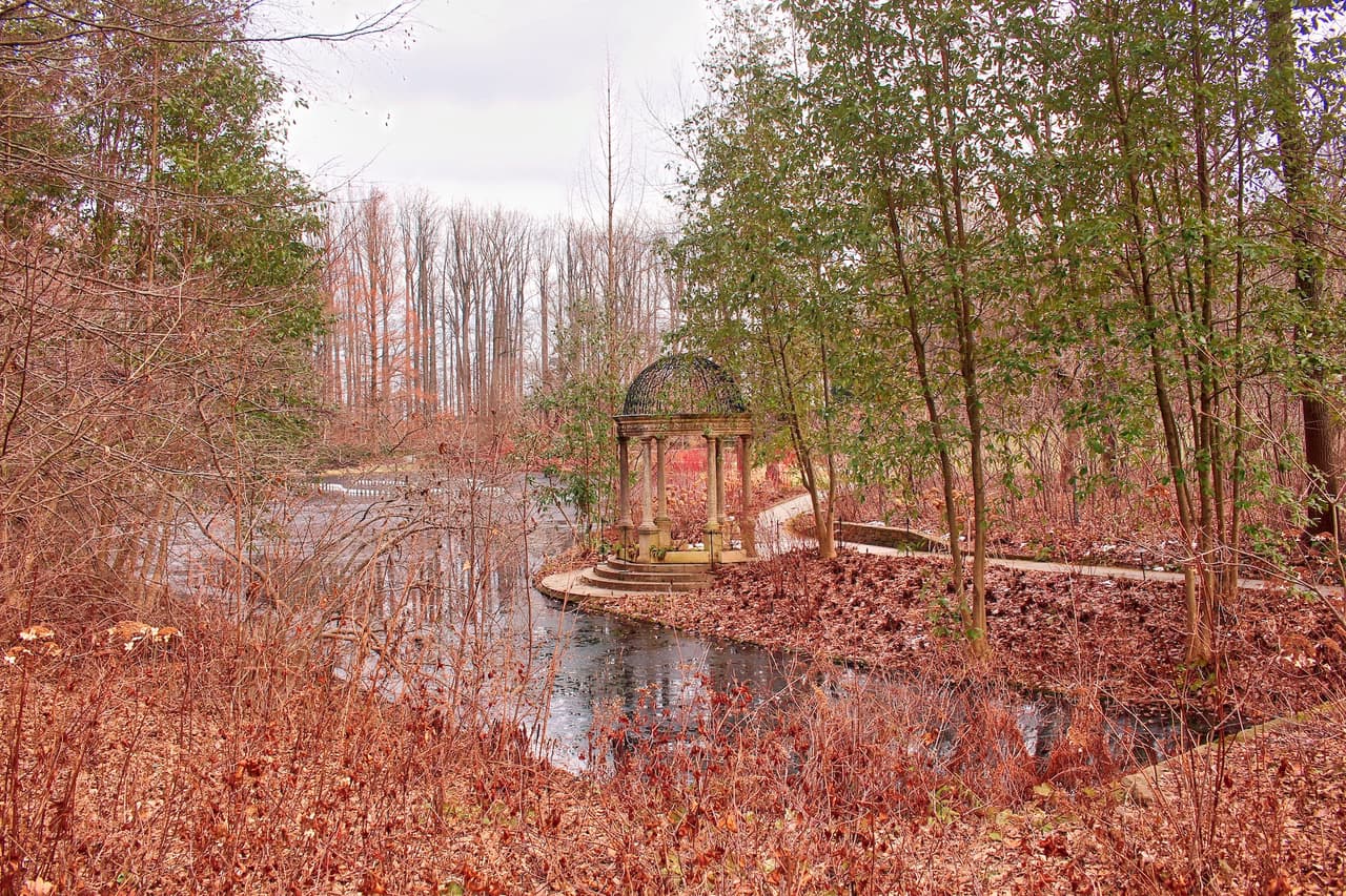 <b><a href="https://longwoodgardens.org/gardens/our-seasons/winter-wonder">Winter Wonder at Longwood Gardens (21 de enero al 26 de marzo)</a></b>. Las mentes hortícolas de Longwood Gardens demuestran que el invierno es mucho más que árboles desnudos durante la exhibición anual Winter Wonder. En el Conservatorio, cestas colgantes y canteros llenan el espacio, mientras que Laelia undulata aporta toques de color. Al aire libre, los pastos de invierno y Acer palmaturm 'Ornatum' agregan textura al paisaje invernal.