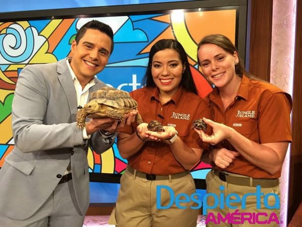 ¡Los habitantes de Zootopia en la casa! Mira cómo viven estos animalitos exóticos.