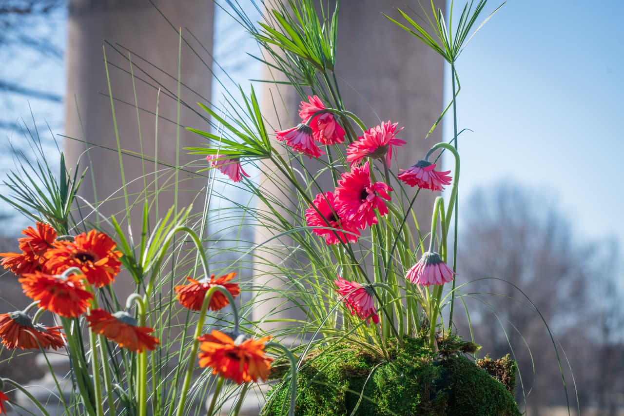 <b>Eventos</b>
<br>Además de poder ver muchas exhibiciones de flores, plantas y paisajes, también hay oportunidades para asistir a eventos especiales durante la ejecución del espectáculo. La mayoría requiere una tarifa adicional.