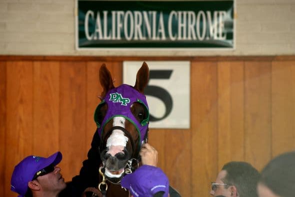 Pero qué hace tan especial a California Chrome para ser el favorito de ganar la Triple Corona.