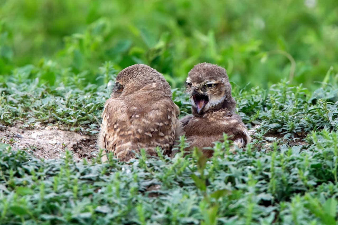 El fotógrafo Keith Crowley fue quien les hizo su retrato familiar.