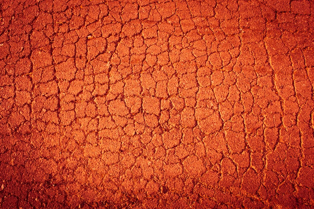 <b>Libra</b>
<br>Te empeñas en alcanzar tus metas financieras, pero tendrás un poco de problemas para guardar lo que has ganado porque te gusta mucho gastar, el sello maya ‘tierra roja’ te enseña que a tu alrededor está todo lo que puedas necesitar.
<br>