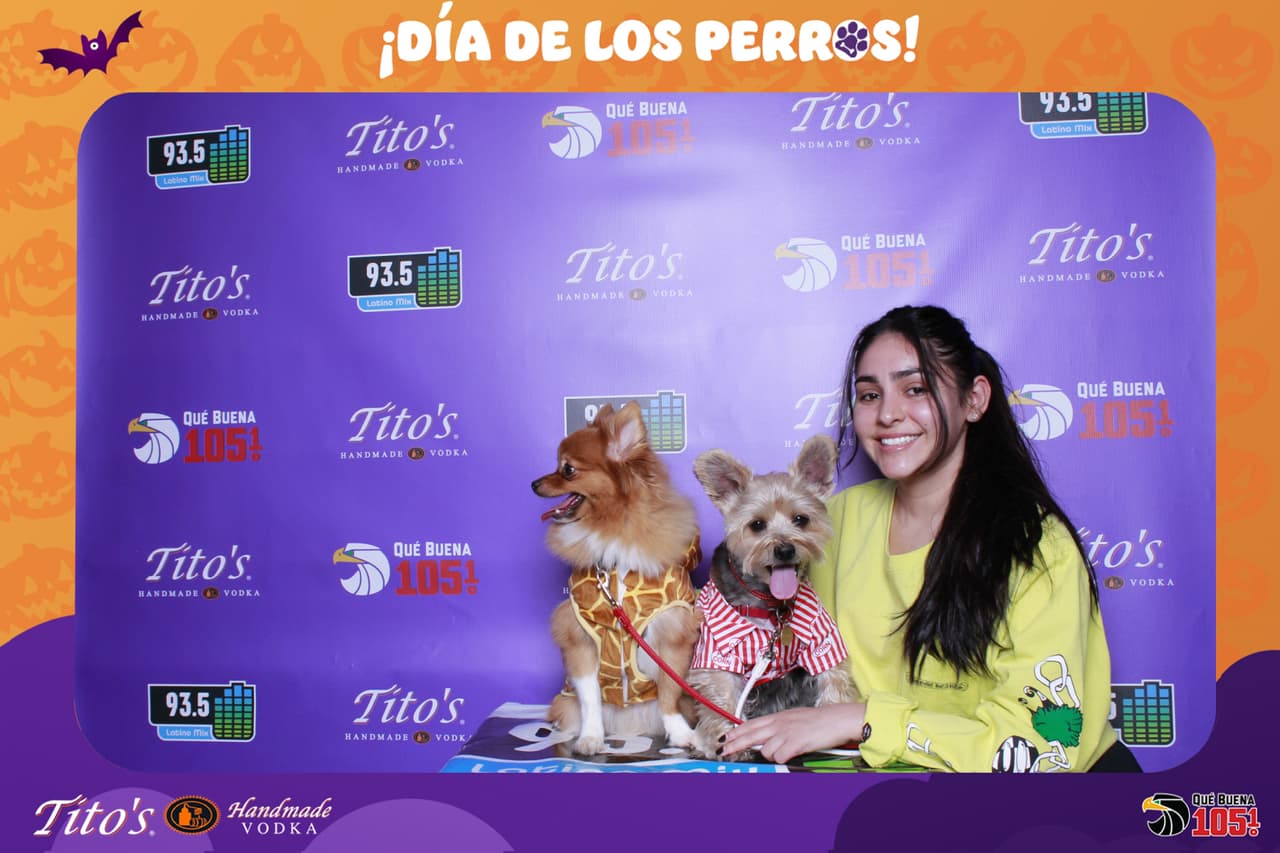 Cual fue tu favorito?