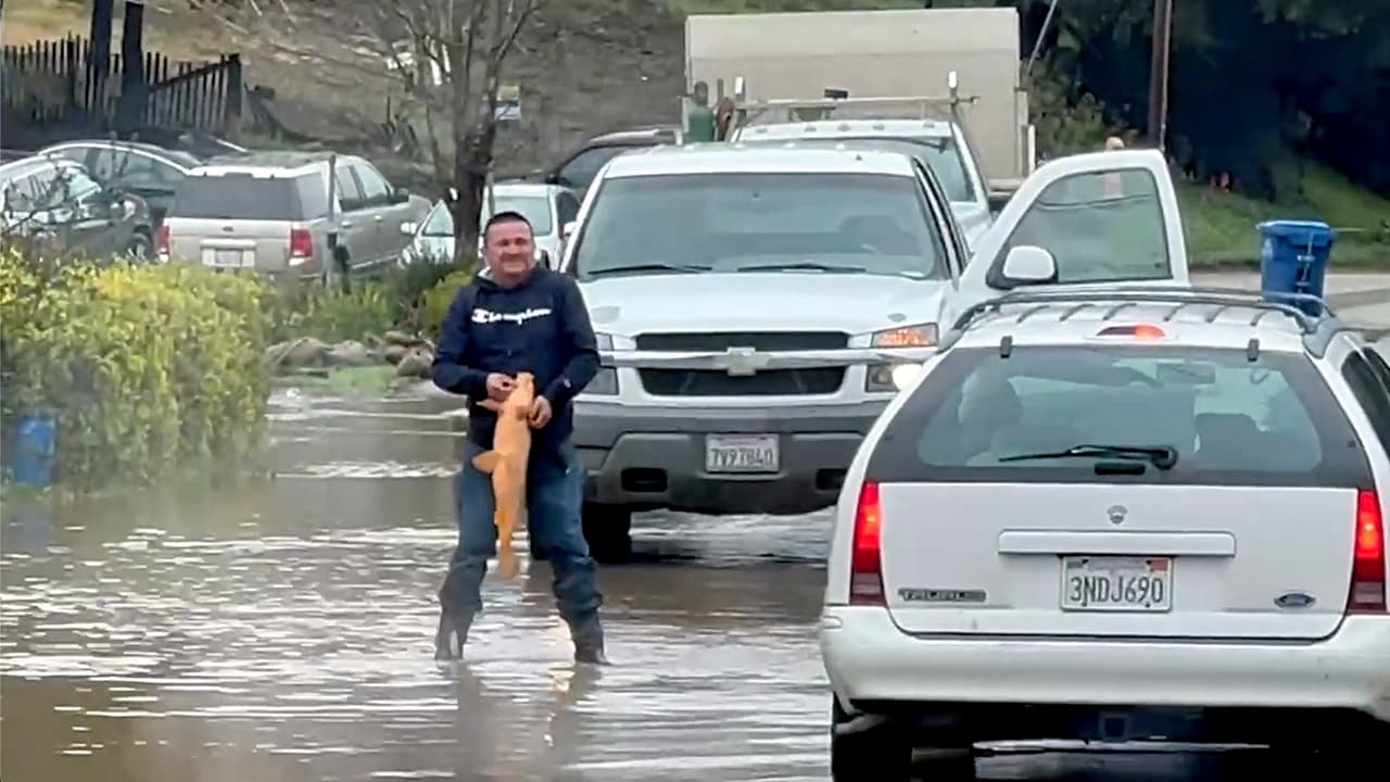 Hombre atrapa enorme pez que cruzaba una calle inundada en el norte de California