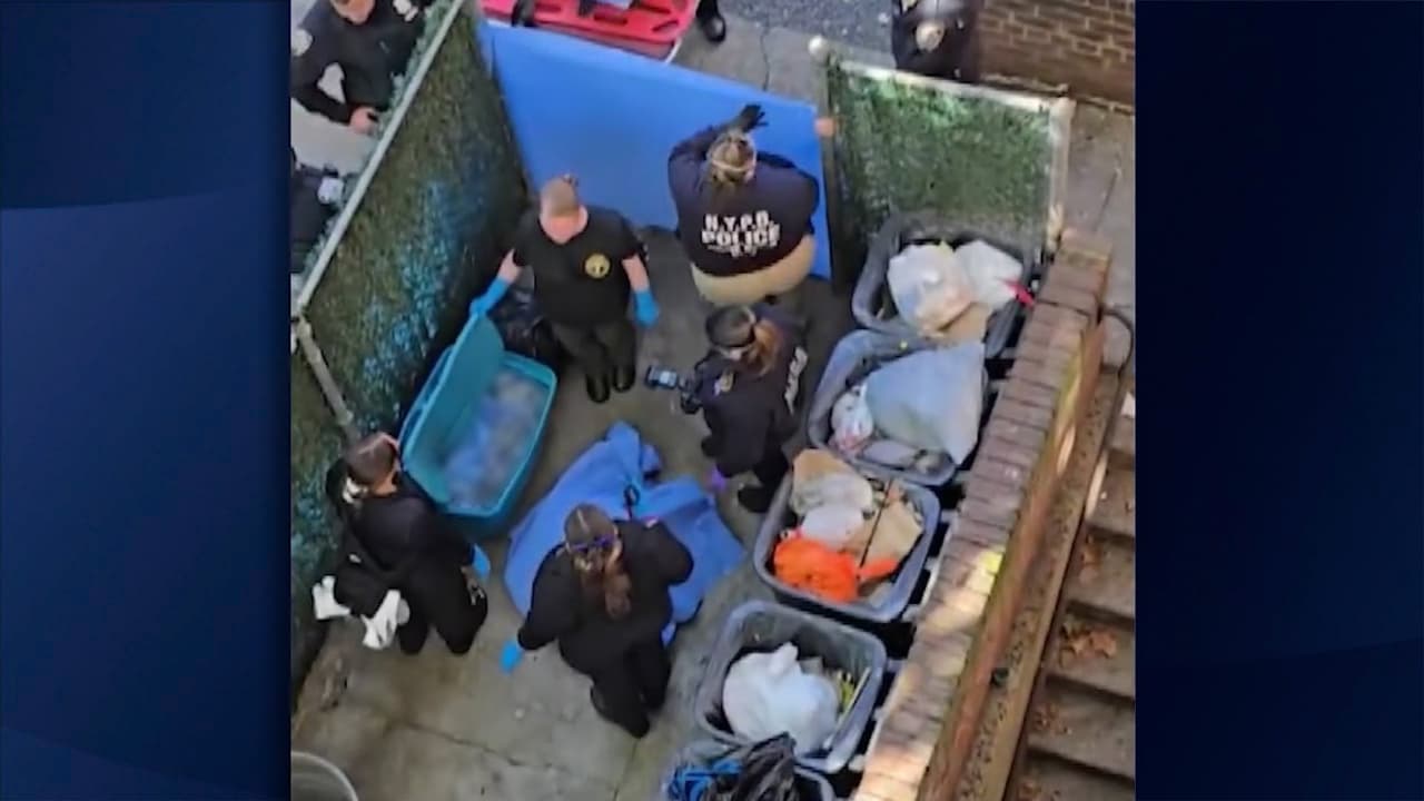 Arrestan a sospechoso tras hallazgo de un cuerpo desmembrado en Brooklyn