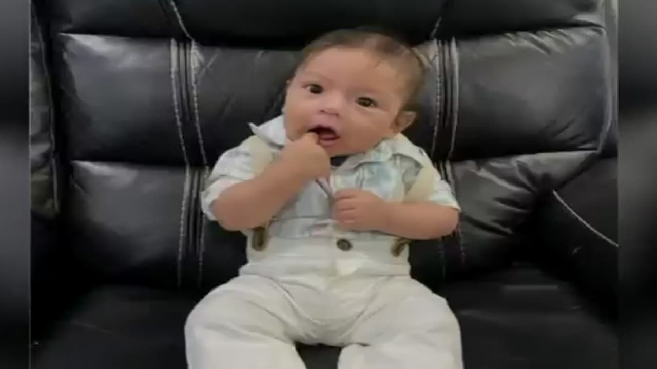 "Estamos destrozados": familia de niño de 2 años atropellado mortalmente por su madre en West Park