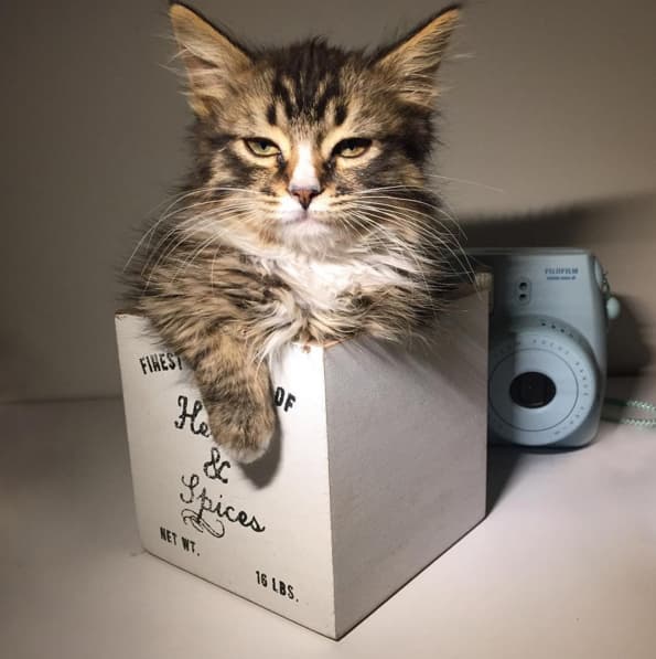 ¿A poco no está bonita?