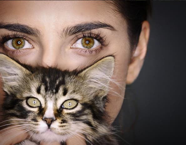 Michelle adora a su gatita, ¡hasta le creó su propia cuenta en Instagram!: "Con la famosa @yosoymatilda SÍGANLA ".