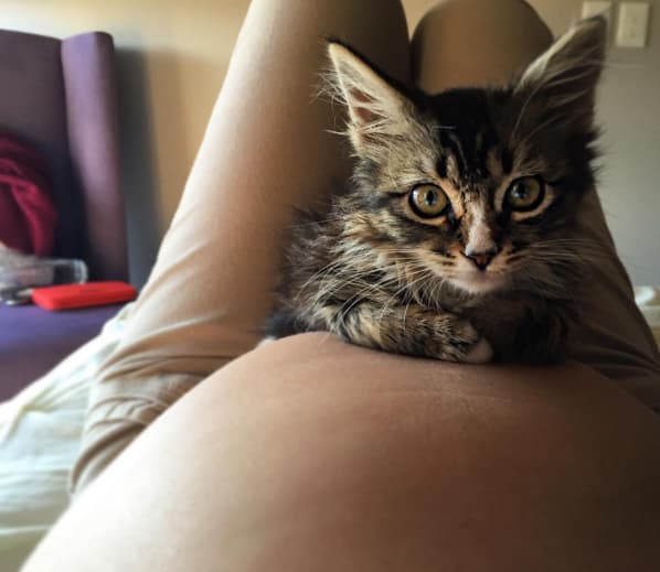 Hasta Ariadne Díaz se contagio de su ternura.