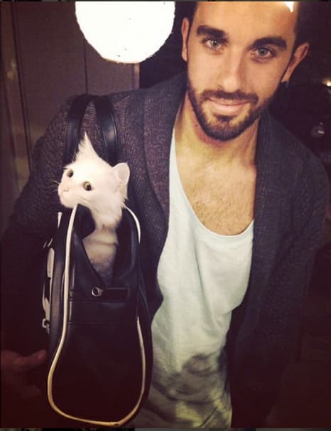 "Doy la vida por esta señorita lo eres todo para mi #begoña #diainternacionaldelgato".