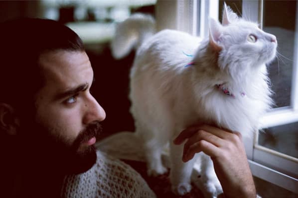 "Maldito Pedacito de cielo que me ha enamorado... descubrí tu plan y déjame decirte que lo has logrado, me vuelves loco.. No sé que haría sin tu presencia, sin tu cariño, sin tu mirar, sin tu maullar. Eres perfecta y agradezco compartir mi vida junto a ti. Te amo Begoña".