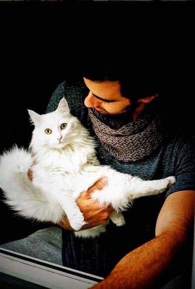 ¿Cuál de las dos gatitas te gusta más, Matilda o Begoña?