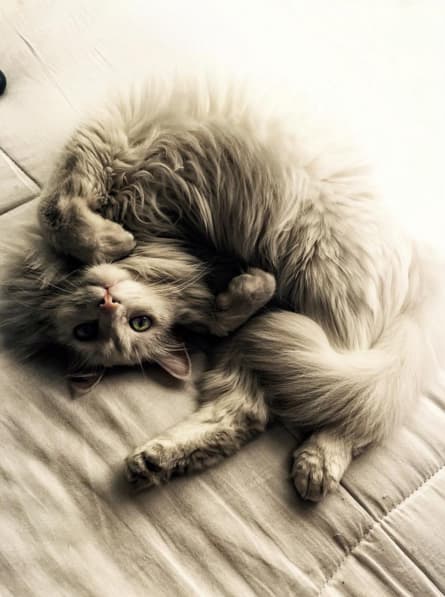 Ella es Begoña, la dueña de sus quincenas.