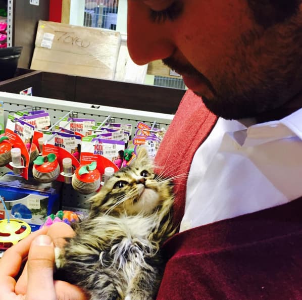 La llevan a todos lados, siempre anda de paseo.