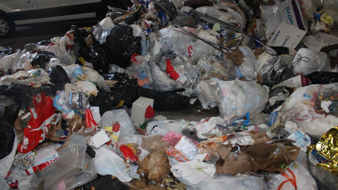 <b>Los perros rastreadores </b>no detectaron su olor en la zona donde Sterns dijo haberla dejado. Cámaras de seguridad captaron a Sterns tirando objetos la basura del complejo de apartamentos, donde las autoridades encontraron cosas de Madeline.