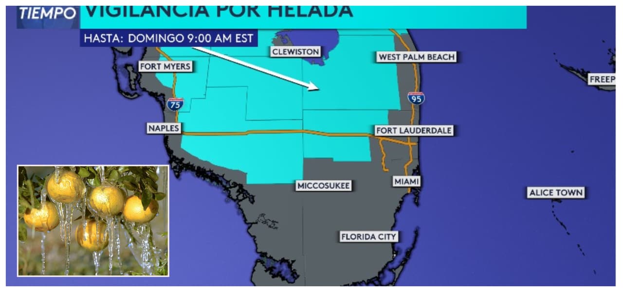 Frío extremo: emiten vigilancia por helada y aviso por fuertes vientos en el sur de Florida 