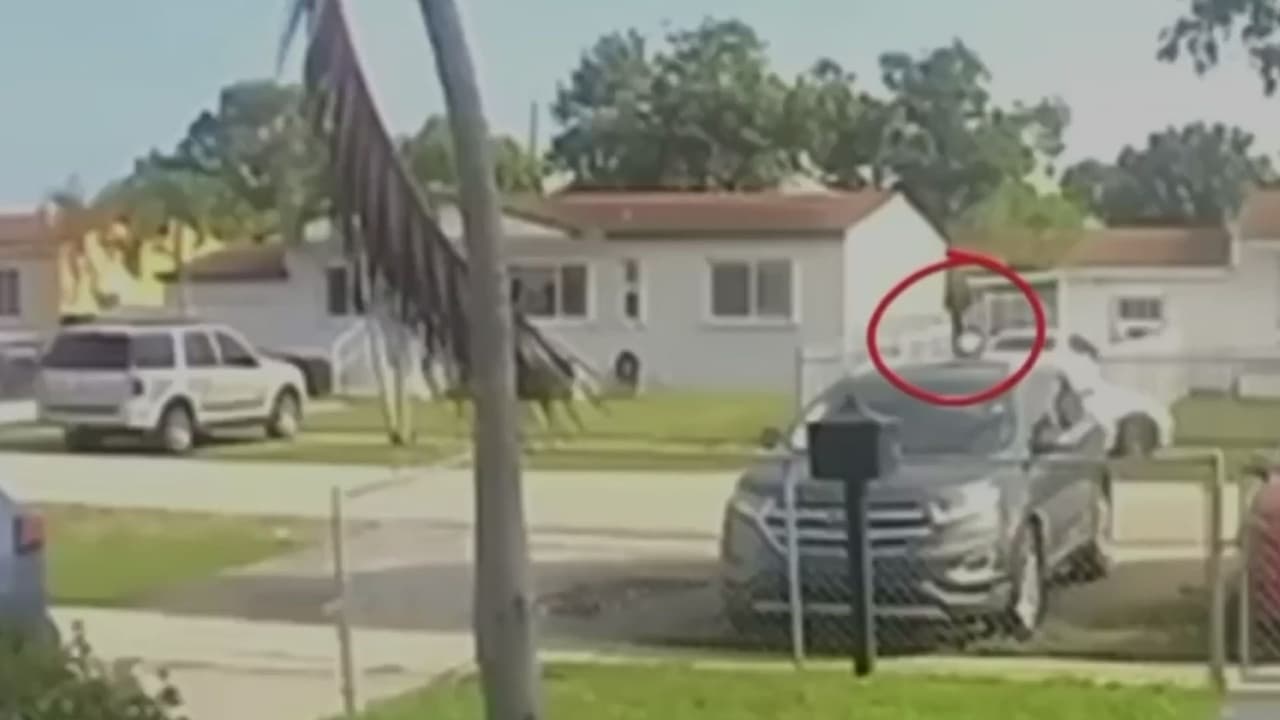 El momento en que una madre encadena a su hija a una cerca en Hialeah y la deja abandonada