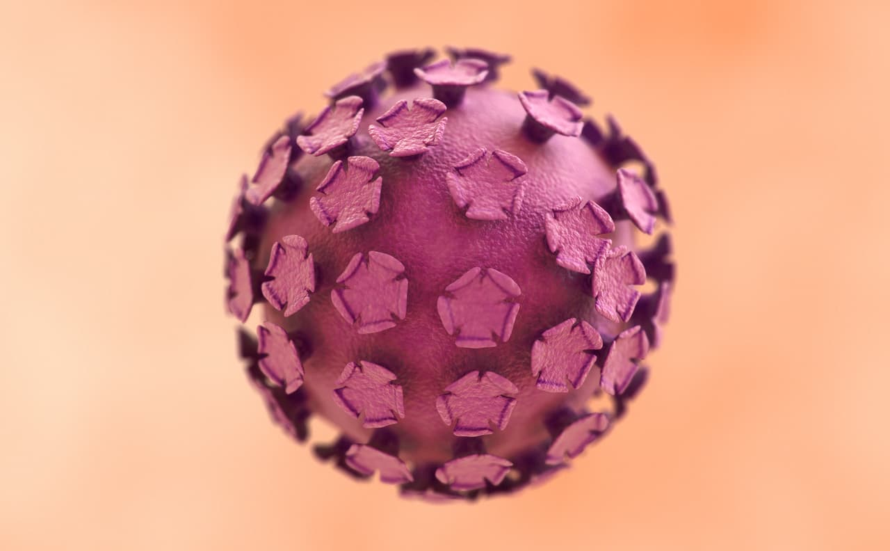 <b>Virus del papiloma humano (VPH). </b>Es la infección de transmisión sexual 
<a href="https://www.cdc.gov/std/spanish/vph/stdfact-hpv-s.htm">más frecuente </a>en Estados Unidos. Algunos de los efectos que el VPH puede tener sobre la salud se pueden prevenir con una vacuna.